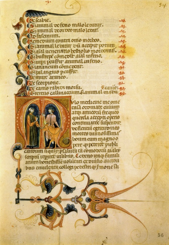 Miniatures of the *Mulomedicina* of Vegetius